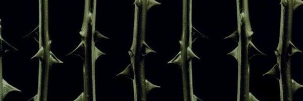 skydiamondss_ Profile Banner