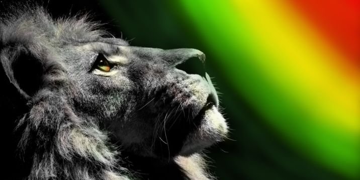 Stephen_Manyama's profile banner image