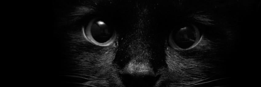 moadhamouch's profile banner image