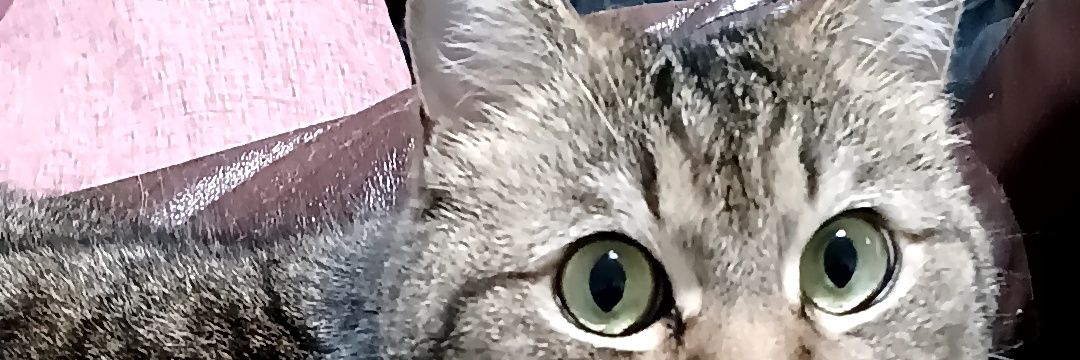 行者にんにく banner