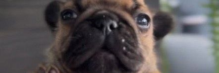 Punished Kev🇬🇵 banner