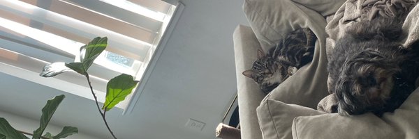 RandumWizard Profile Banner