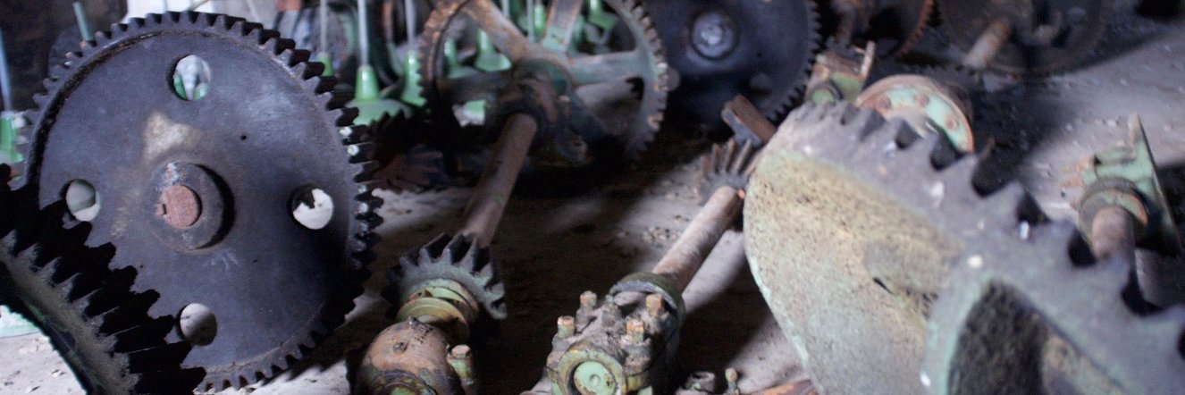 🇨🇦 Mikey! 🚀🌮🐈 banner