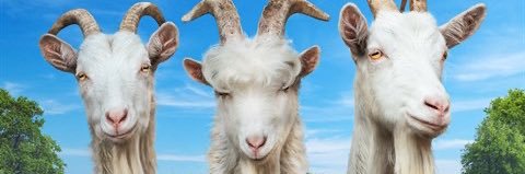 Sports Insider banner