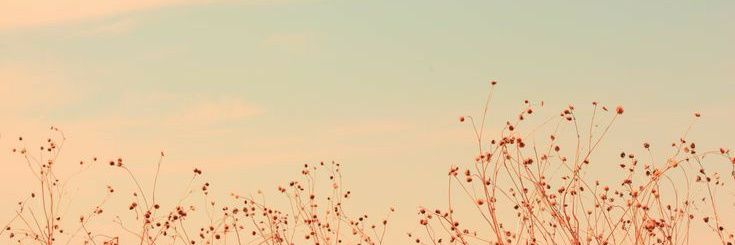 kesio banner
