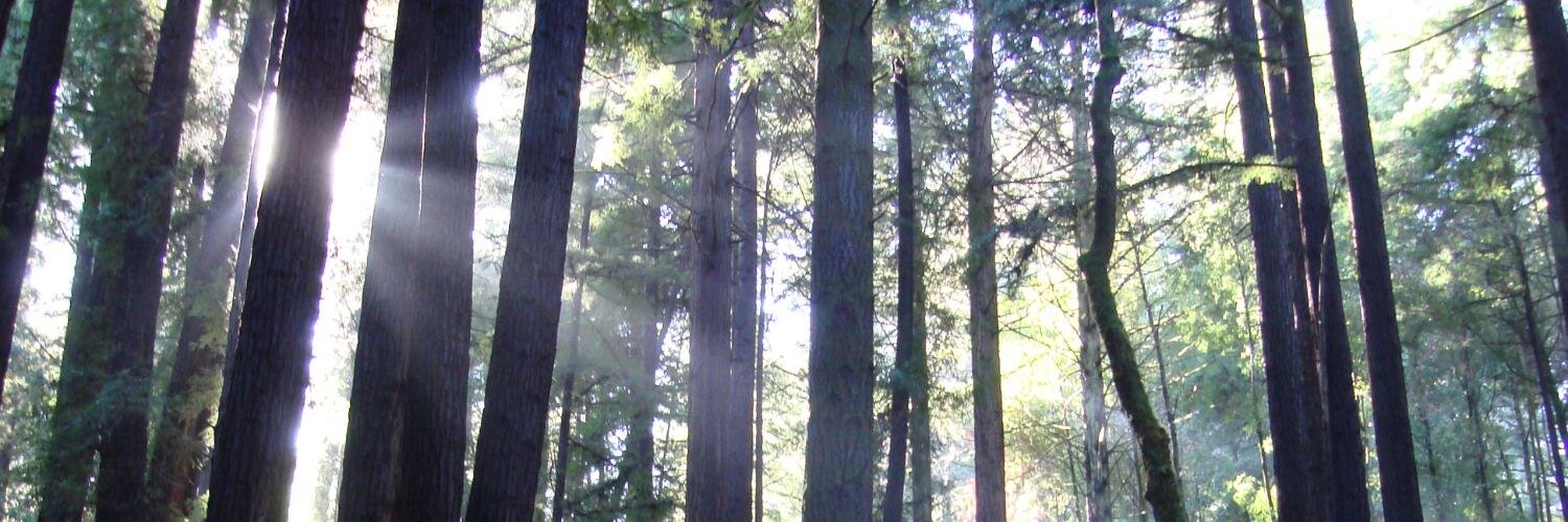 derekcford's profile banner image