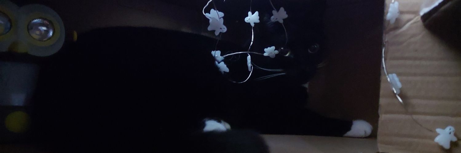 Scott M banner