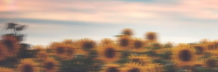 beccapotlet's profile banner image