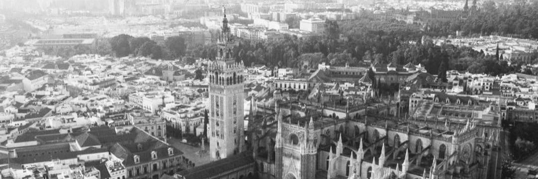 elisaortej's profile banner image