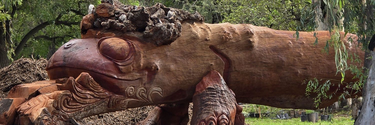 Joselo 🏋🏽 banner