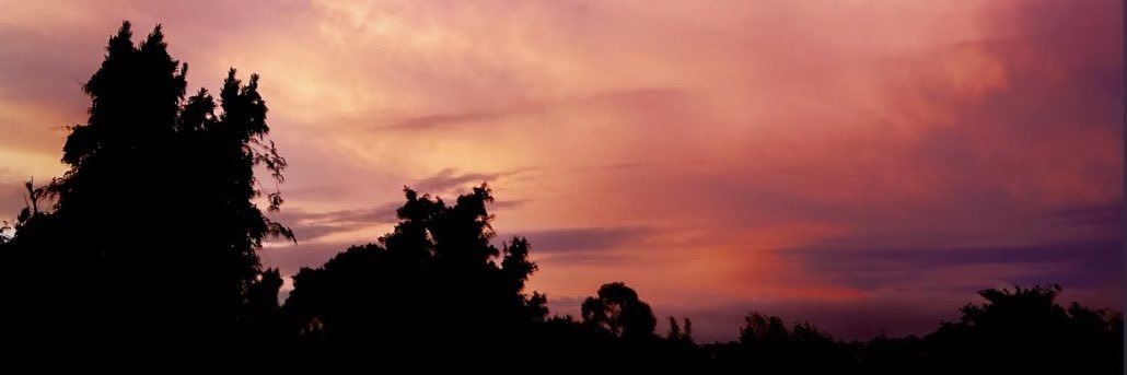 ZoeBear2000's profile banner image
