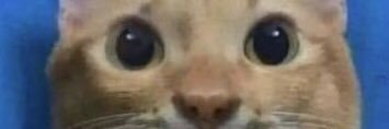 flaburgastdkity's profile banner image