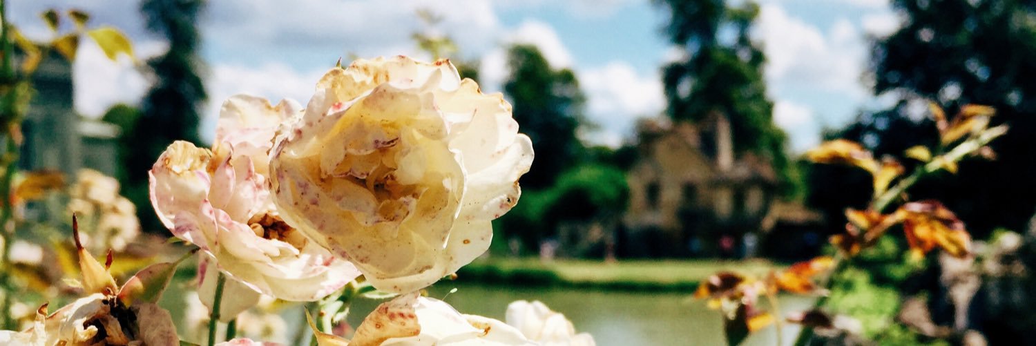 coledulworth's profile banner image