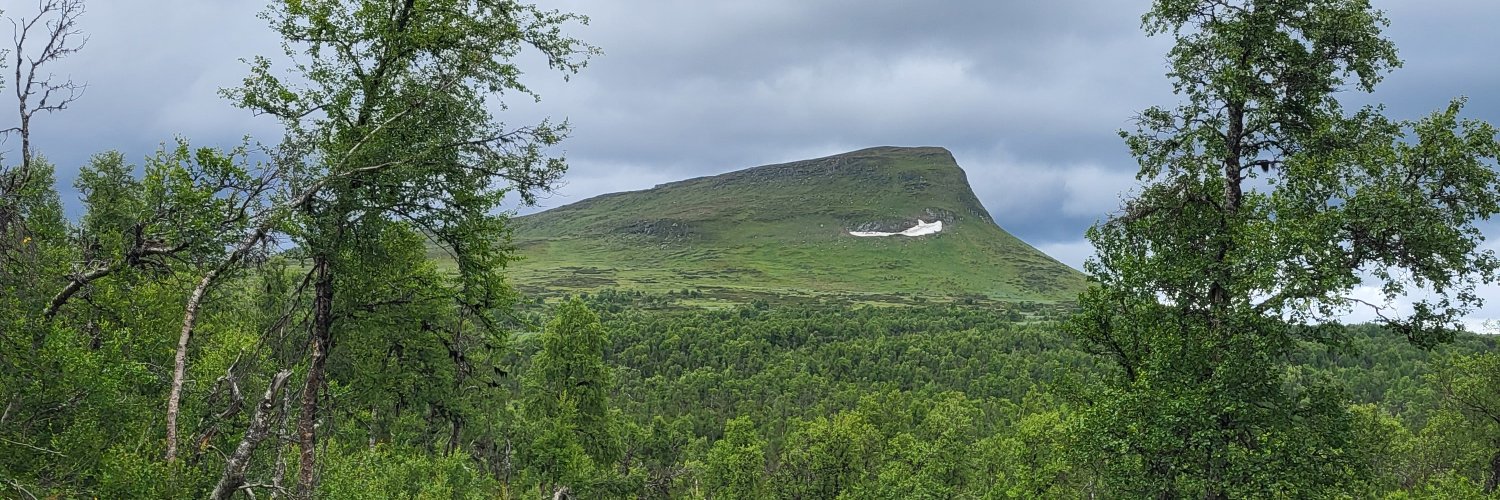 norberg's profile banner image