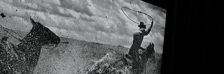 wavywoonga's profile banner image