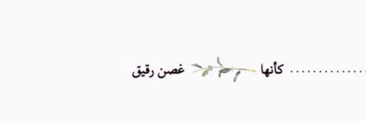 𓅉ᵛ͢ᵎᵖšнαм⇣✿ banner