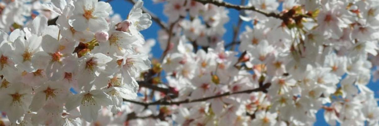 Jill S. outseide.bsky.social banner