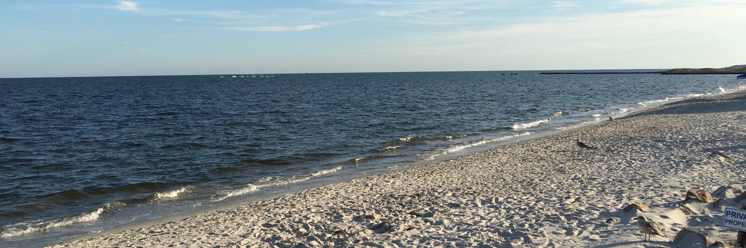 JoanneSabo's profile banner image