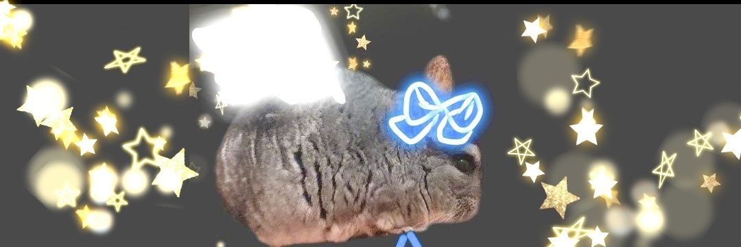 みー banner