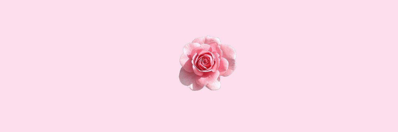 g.🌸 banner