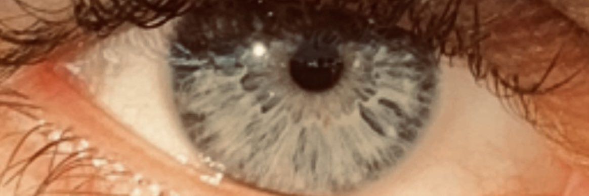 Ostf_'s profile banner image