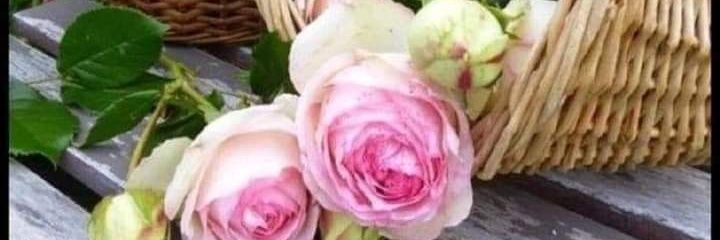 hhhdjigft's profile banner image