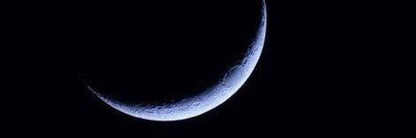 Pesabelele Profile Banner