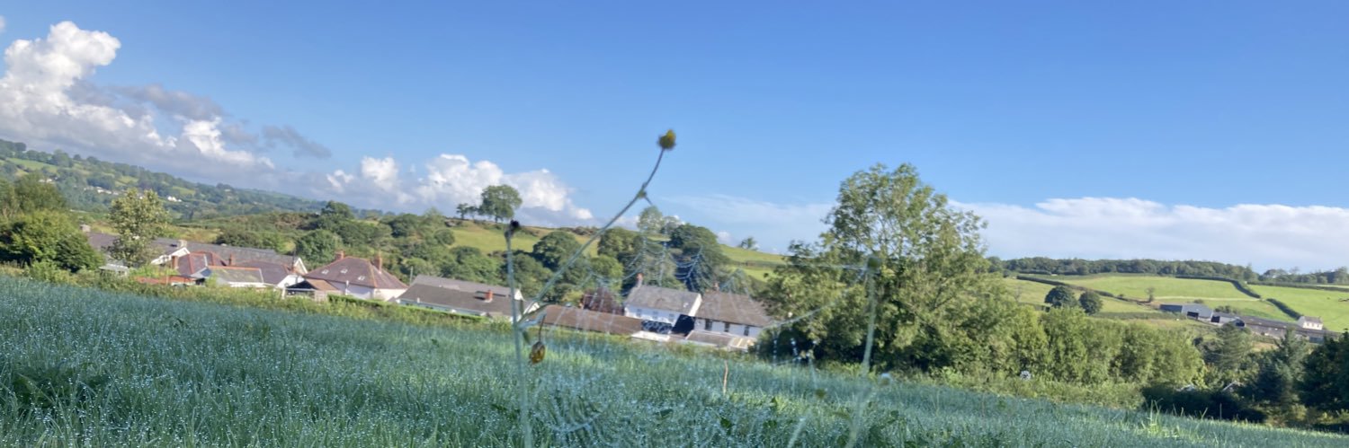 BeeCymru's profile banner image