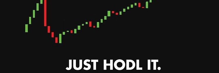 Next wave 🌊 banner