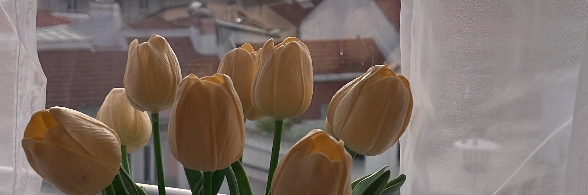 Chrysantyl banner