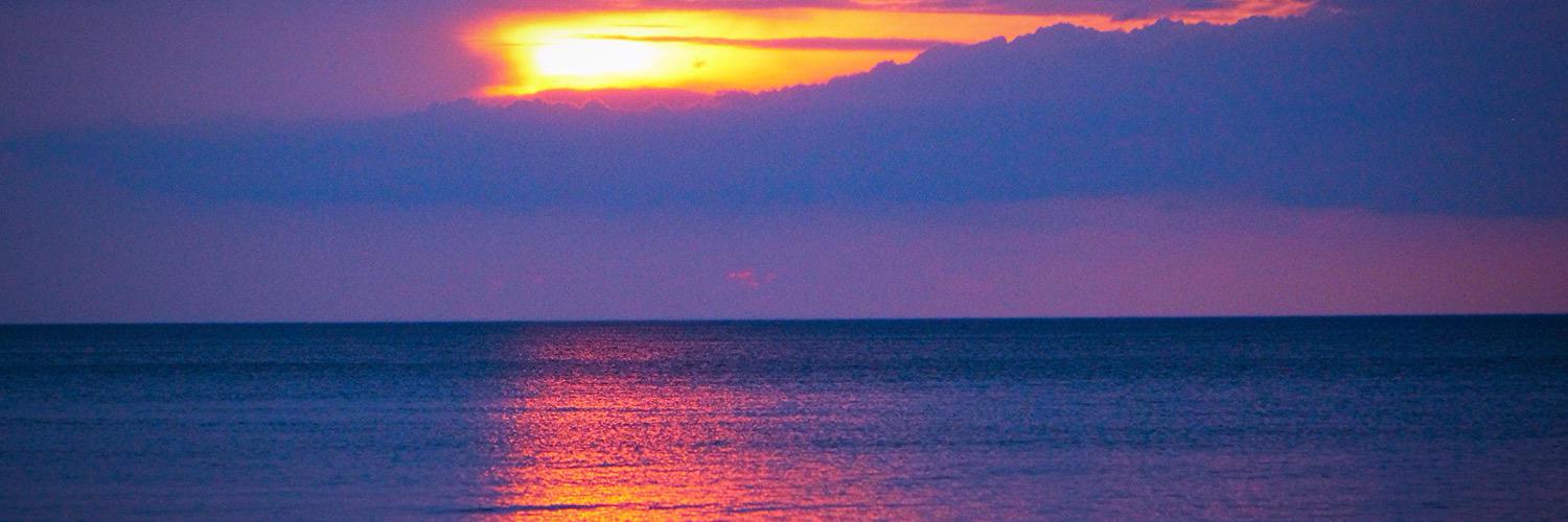 Sheri Moore (MCC) banner