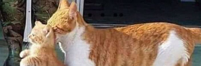 miguel perez perez banner