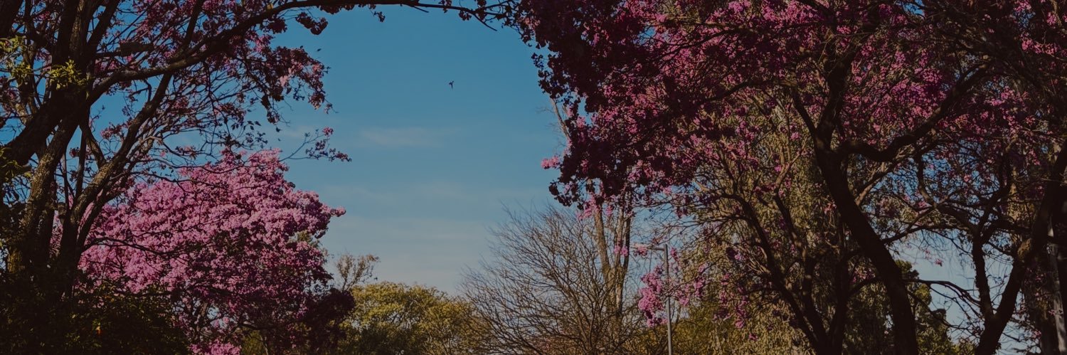 chiarfarab's profile banner image