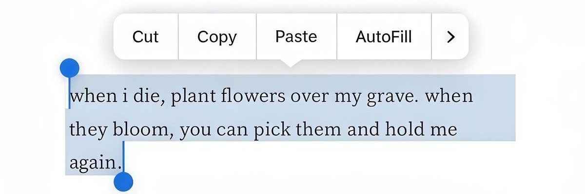 ⪩⪨ grumpycat — (slow)🐱 banner