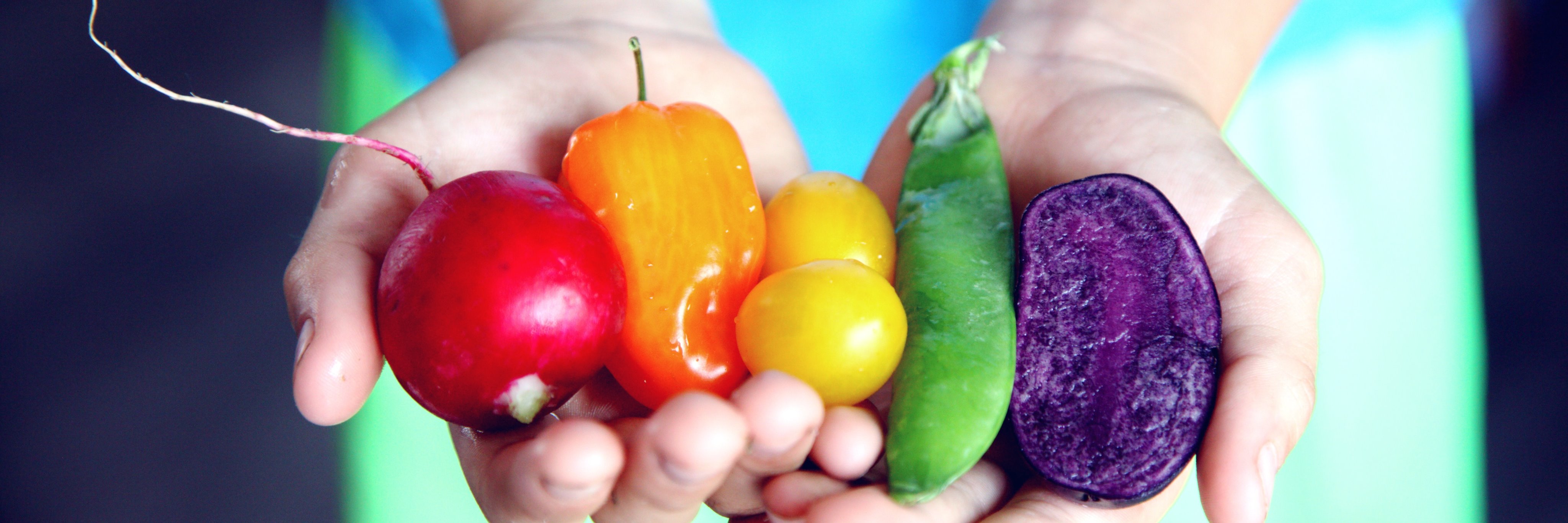 HealthyFoodMD's profile banner image