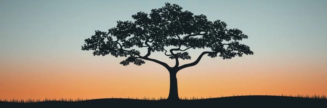 WayneCo97's profile banner image