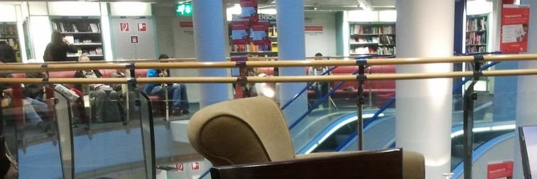 Diego Brouard ☔🐺 banner