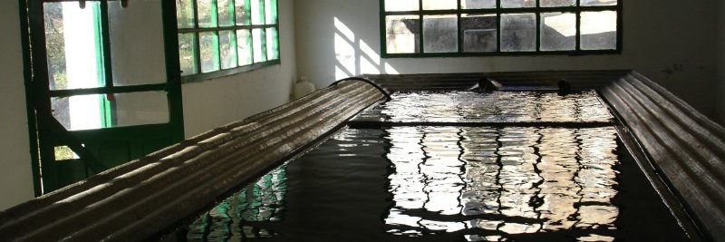 Editora con carrito banner