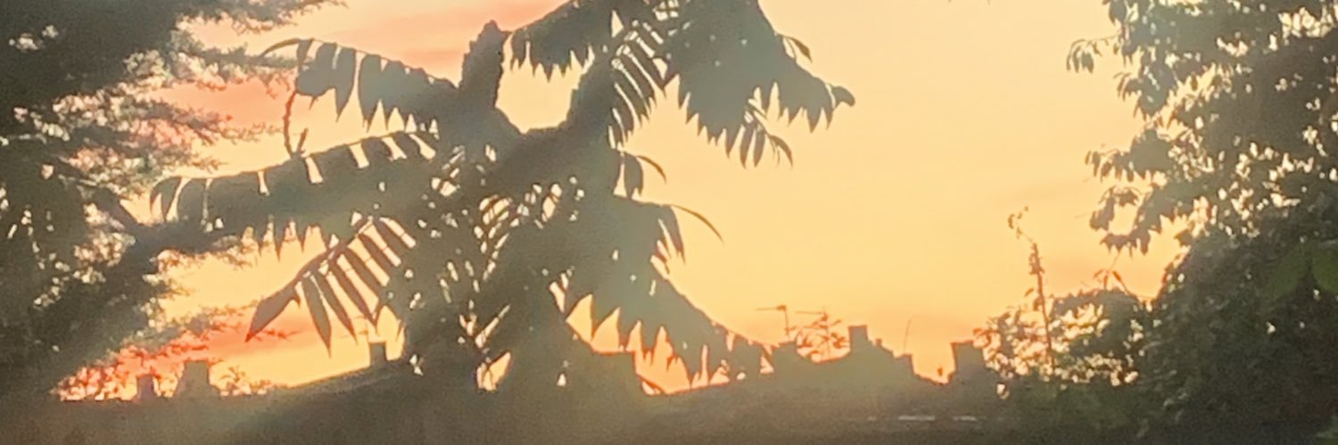 George Polimenakos banner