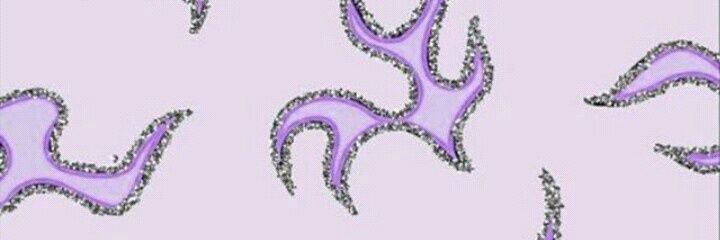 CaamiAlfonso11's profile banner image