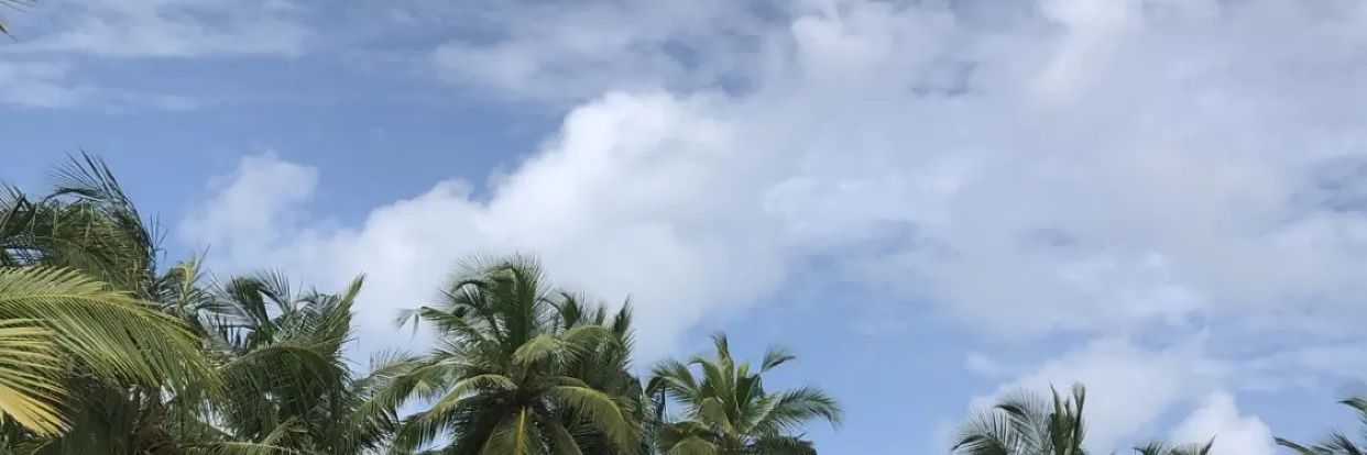Teo👑 banner