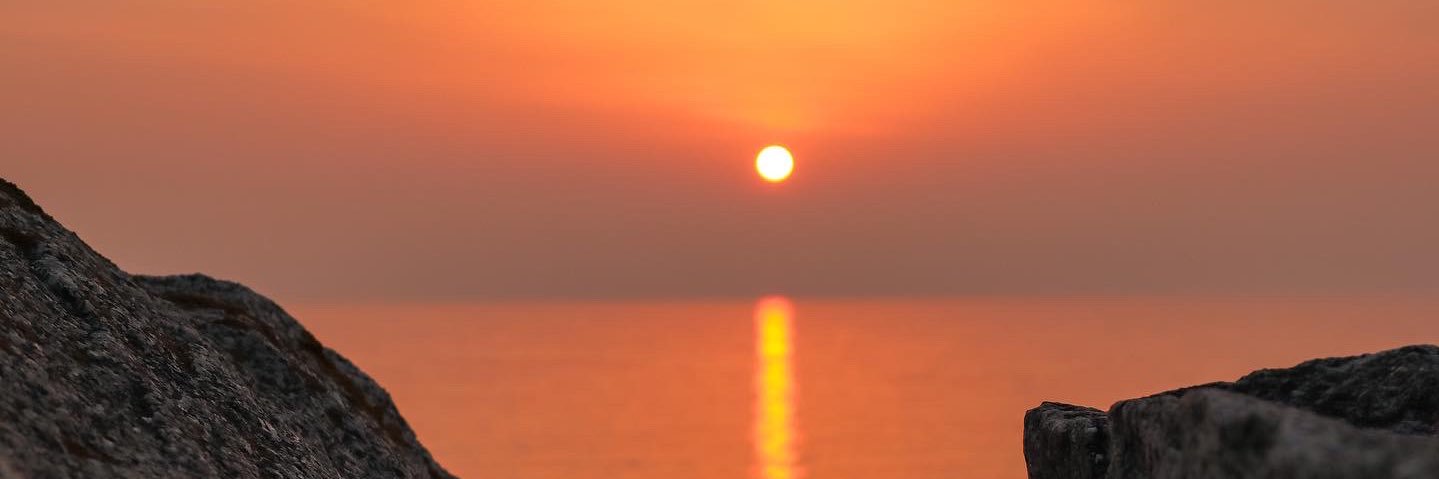 m_294444 banner