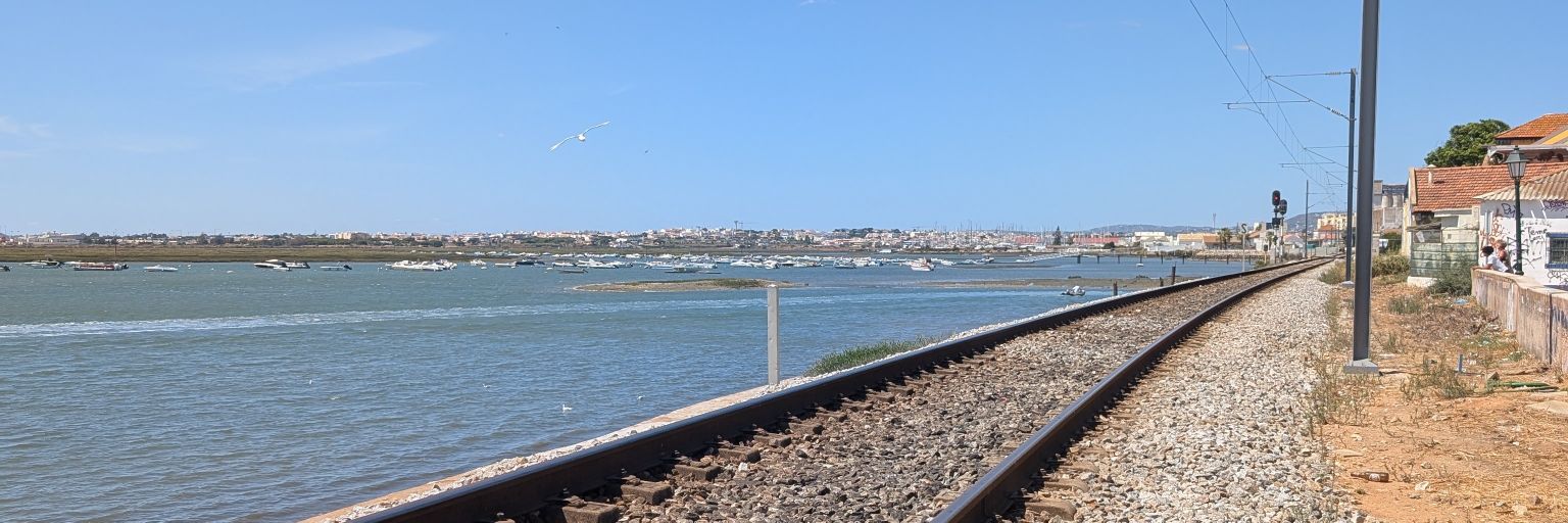 ₳ Crypto King ₳ banner