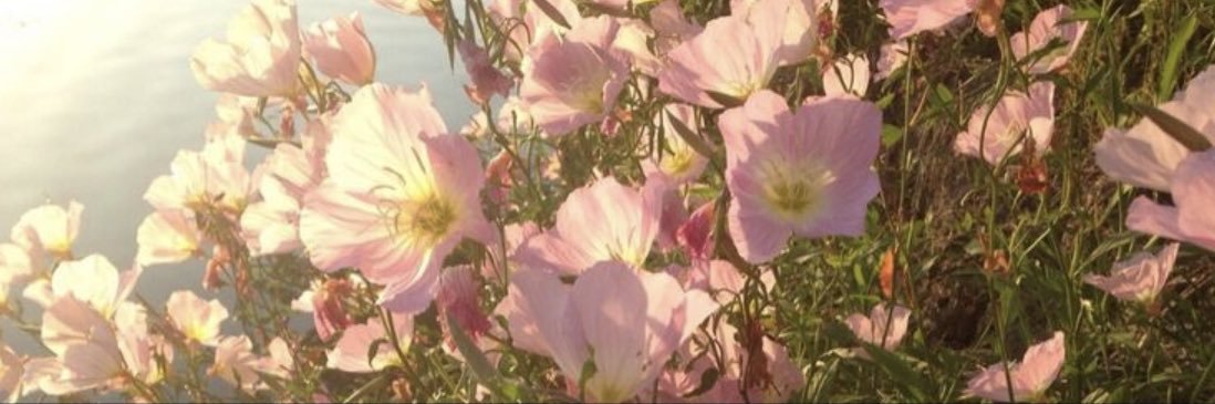 ari_45321's profile banner image