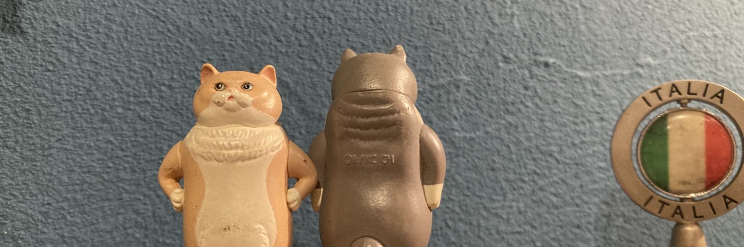 t_a0504's profile banner image