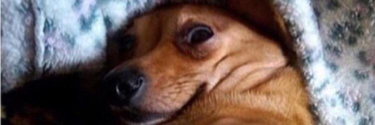 robert_m's profile banner image