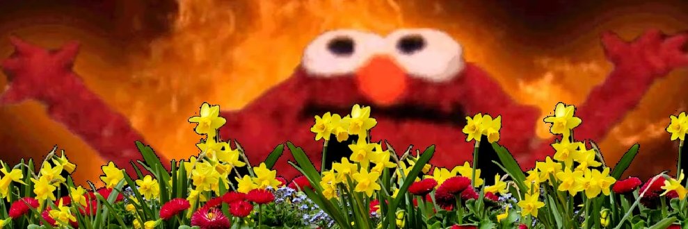 GroovyJr's profile banner image