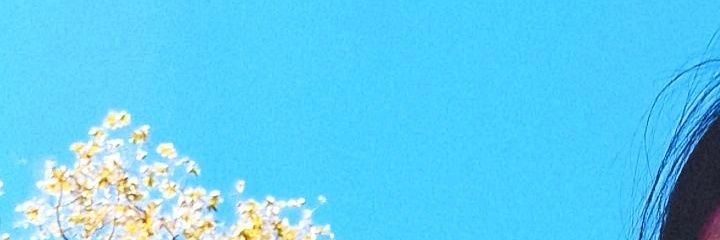 MariCleary's profile banner image