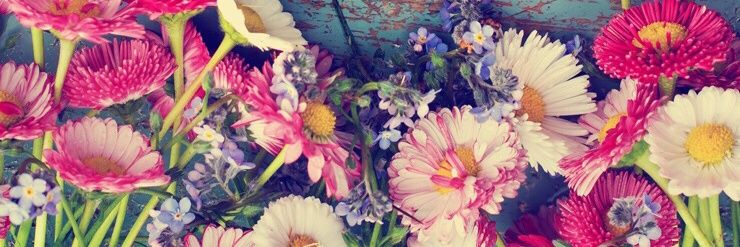 mamuchim's profile banner image