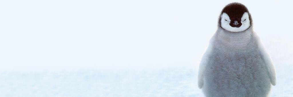 もょもと's banner